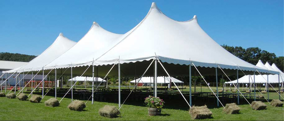 Catering best sale tent hire